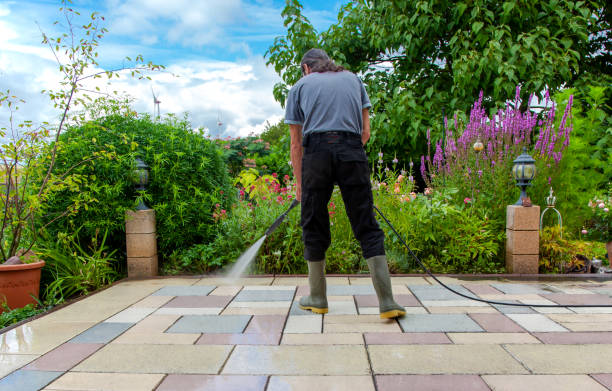 Best Animal Enclosure Cleaning  in Piedmont, OK